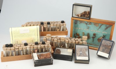 Lot 85 - A Vintage Collection of Seeds