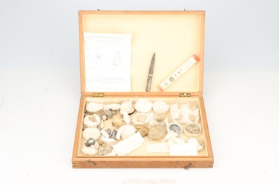 Lot 216 - Ex-University Collection of Jurassic Fossils