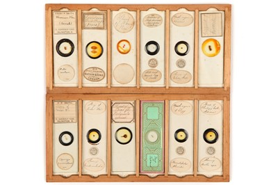 Lot 18 - A Collection of 36 Microscope Slides