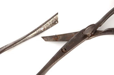 Lot 190 - A Pair of Large Obstetric Forceps of Unusual Design