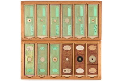 Lot 20 - A Collection of 36 Microscope Slides