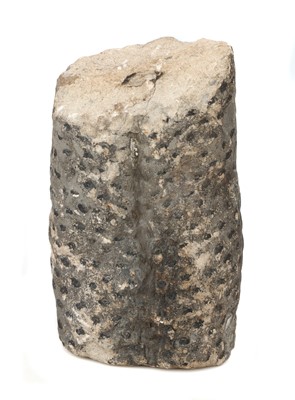 Lot 187 - Minerals, Fossilised Tree Trunk Section