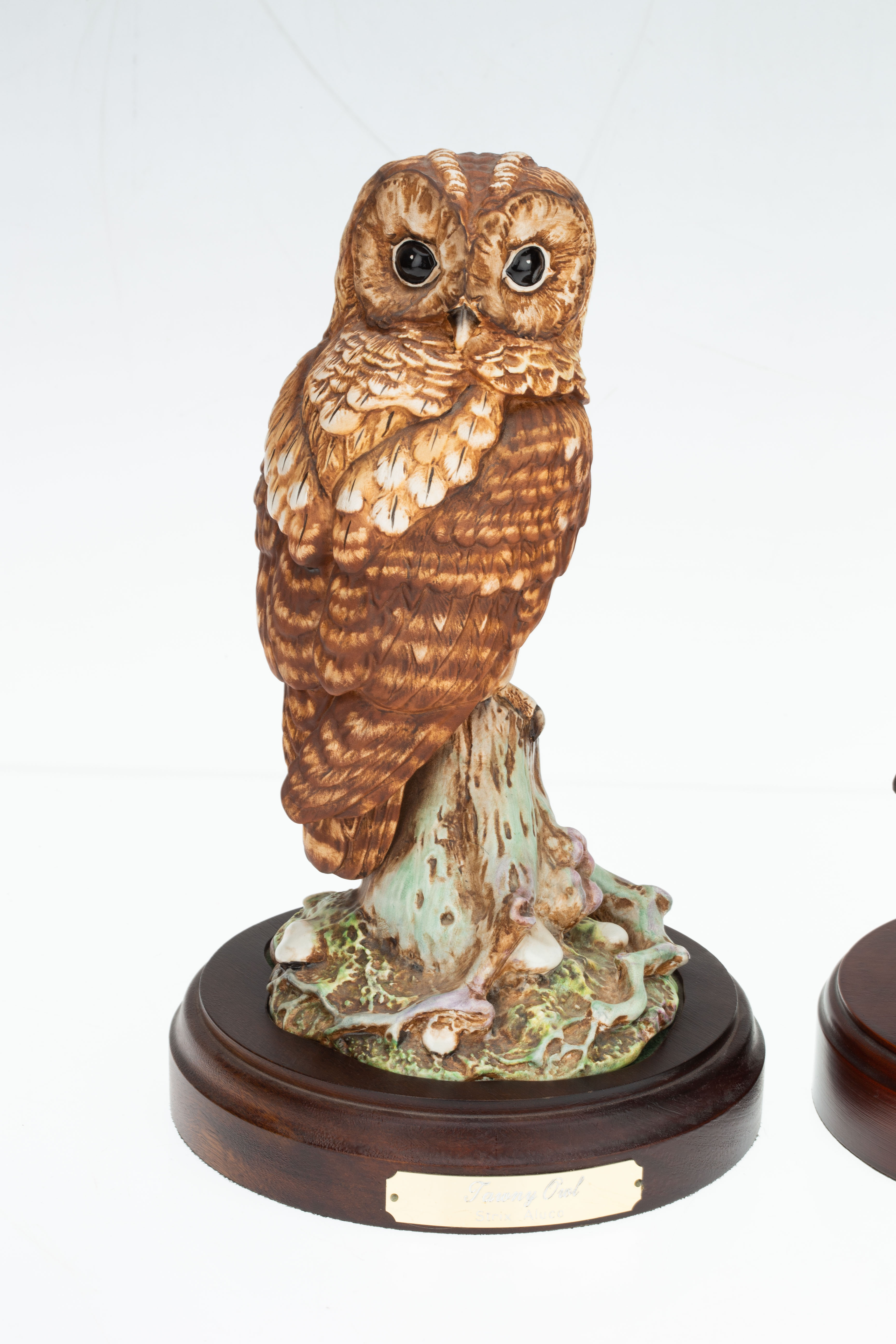 Lot 146 - Royal Doulton Limited Edition Birds of Prey,