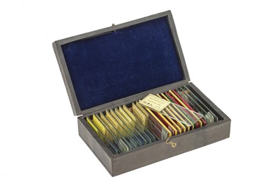 Lot 205 - A Collection of 24 Microscope Slides