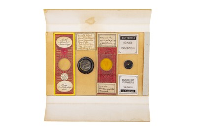 Lot 195 - A Collection of 7 Unusual Microscope Slides