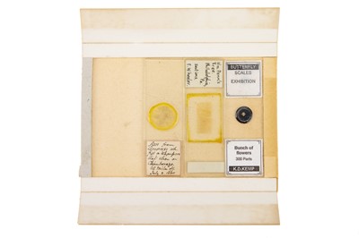 Lot 195 - A Collection of 7 Unusual Microscope Slides
