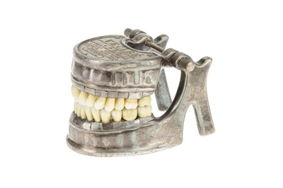 Lot 18 - A Vecabe Dental Model