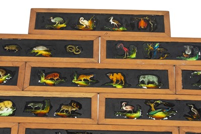 Lot 240 - A Set of 12 Hand Painted Natural History Magic Lantern Slides