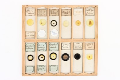 Lot 200 - A Collection of 144 Microscope Slides