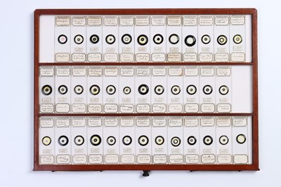 Lot 202 - A Large Cabinet of Microscope Slides