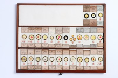 Lot 203 - A Microscope Slide Cabinet Containing an Extensive collection of A. C. Cole Slides