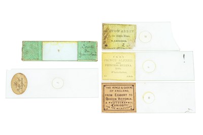 Lot 89 - Four Microphotograph Microscope Slides