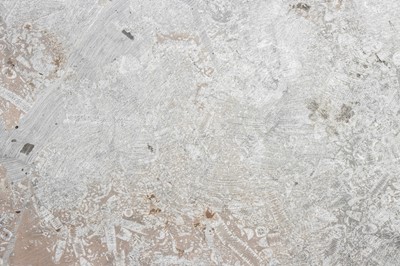 Lot 179 - A Large Crinoid Fossil