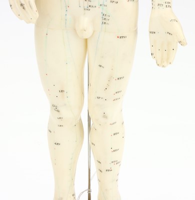 Lot 40 - A Large Acupuncture  Model
