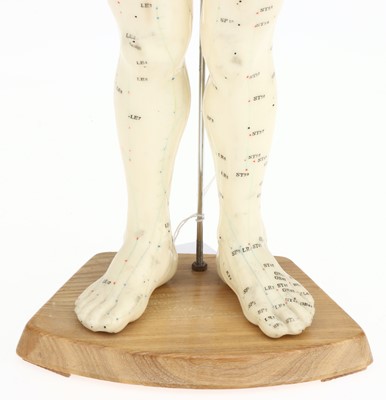Lot 40 - A Large Acupuncture  Model