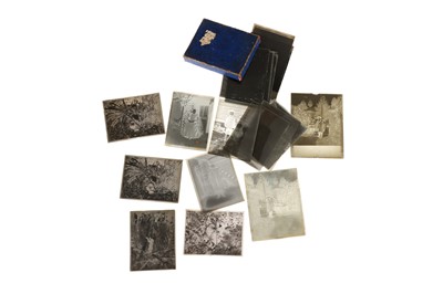 Lot 319 - Four Glass Quarter Plates of Primates in Flora