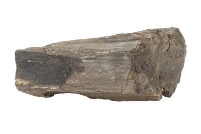 Lot 177 - A Large Sample of Fossil Wood