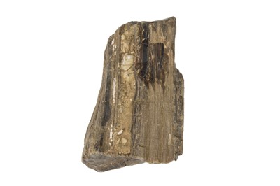 Lot 177 - A Large Sample of Fossil Wood