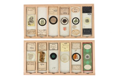 Lot 116 - A Collection of Early Geology Microscope Slides