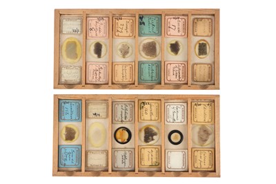 Lot 117 - A Fine Collection of Geology Microscope Slides