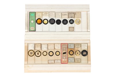 Lot 119 - A Collection of 19th Cetury & Later Microscope slides
