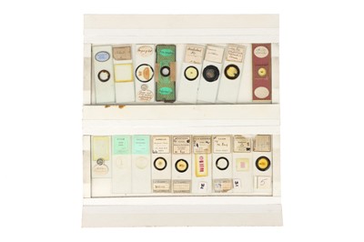 Lot 119 - A Collection of 19th Cetury & Later Microscope slides
