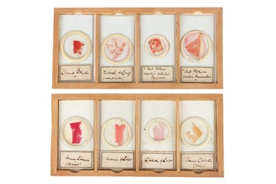 Lot 120 - A Collection of Medical Teaching Human Histology Microscope Slides