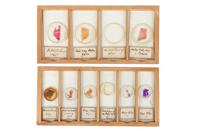 Lot 120 - A Collection of Medical Teaching Human Histology Microscope Slides
