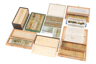 Lot 121 - A Large Collection of mid 20th century Microscope Slides