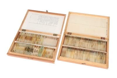 Lot 121 - A Large Collection of mid 20th century Microscope Slides