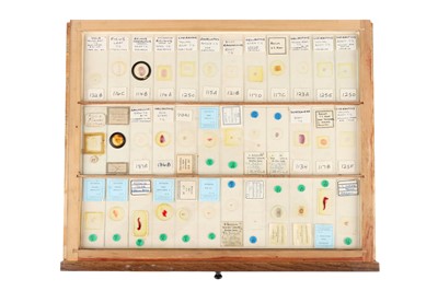 Lot 114 - A Microscope Slide Cabinet and Slides