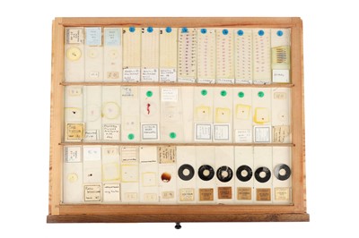 Lot 114 - A Microscope Slide Cabinet and Slides