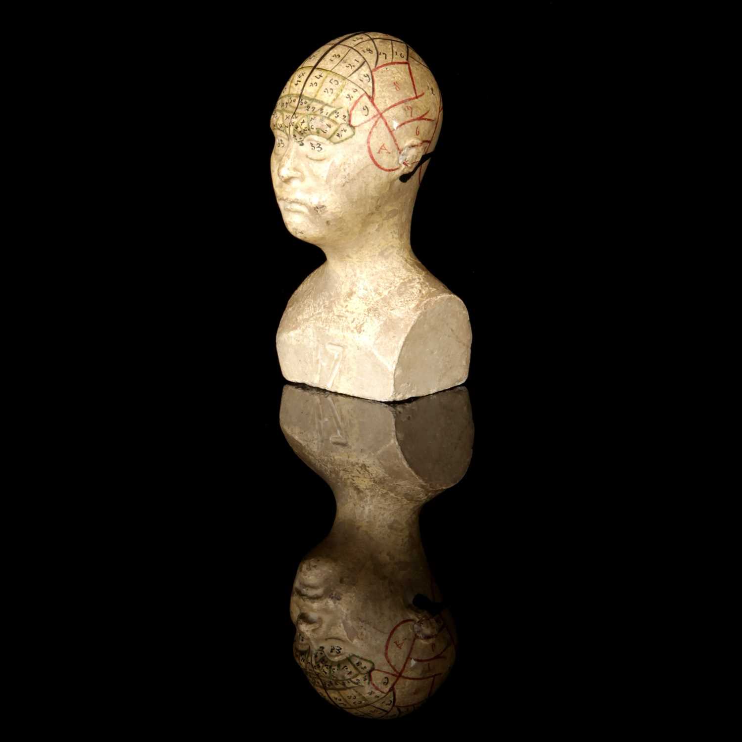 Lot 110 - A Small Plaster Phrenology Bust