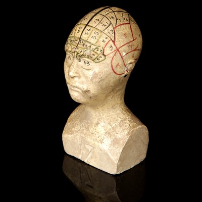 Lot 110 - A Small Plaster Phrenology Bust