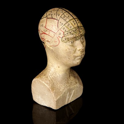 Lot 110 - A Small Plaster Phrenology Bust