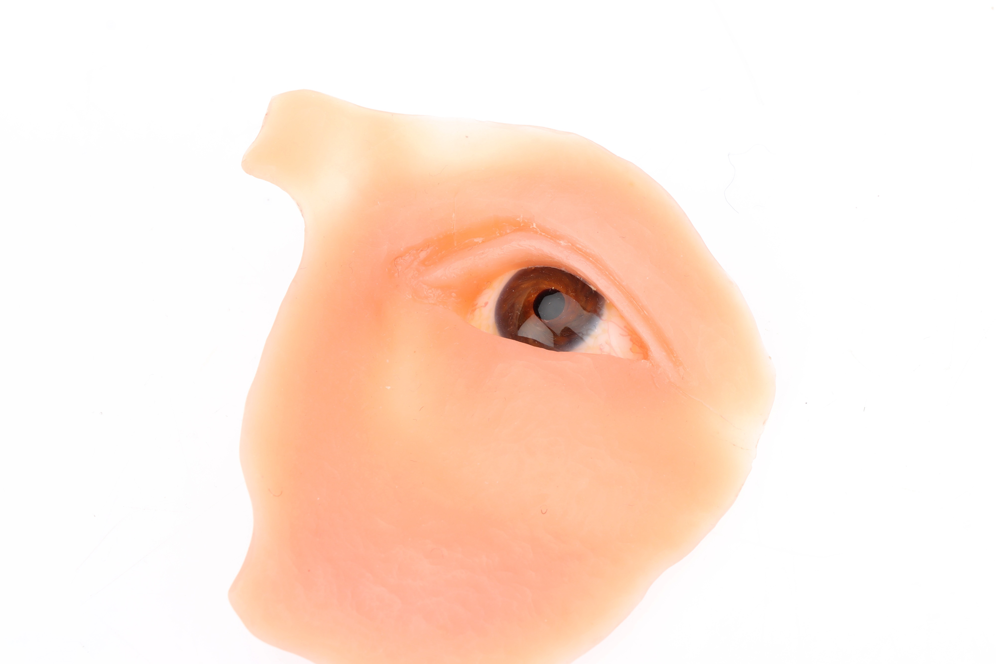 Lot 91 - Two Eye Socket Protheses with Glass Eyes,