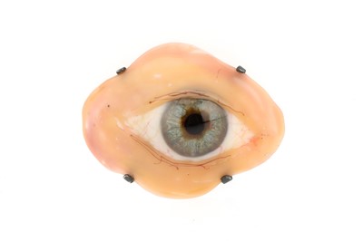 Lot 92 - An Unusual Glass Eye with Glass Eyelids