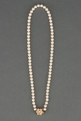 Lot 47 - A Single String Pearl Choker with 9ct Gold Clasp