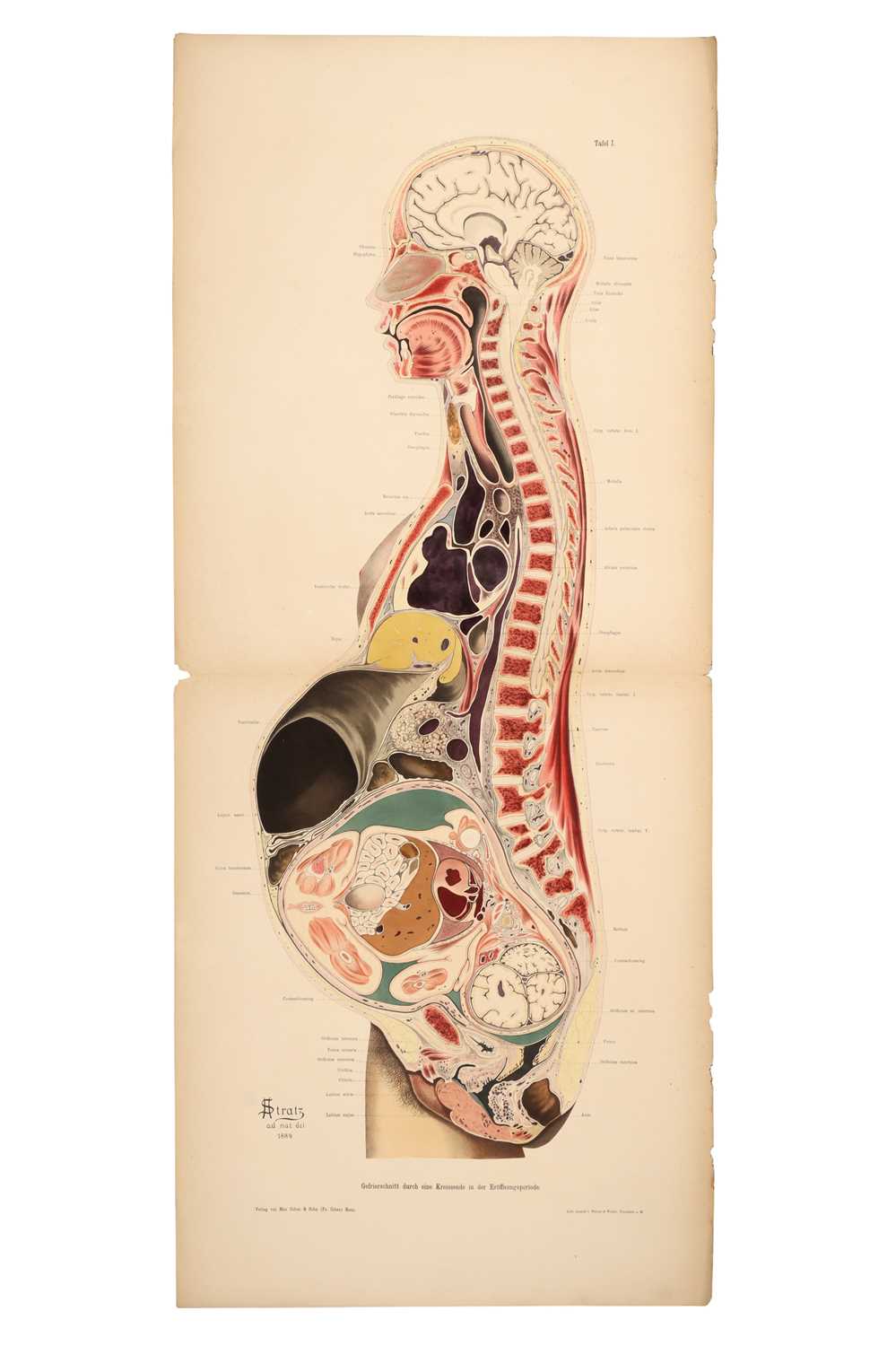 Lot 475 - Medicine - Schroeder, Karl Ludwig Ernst, 1886