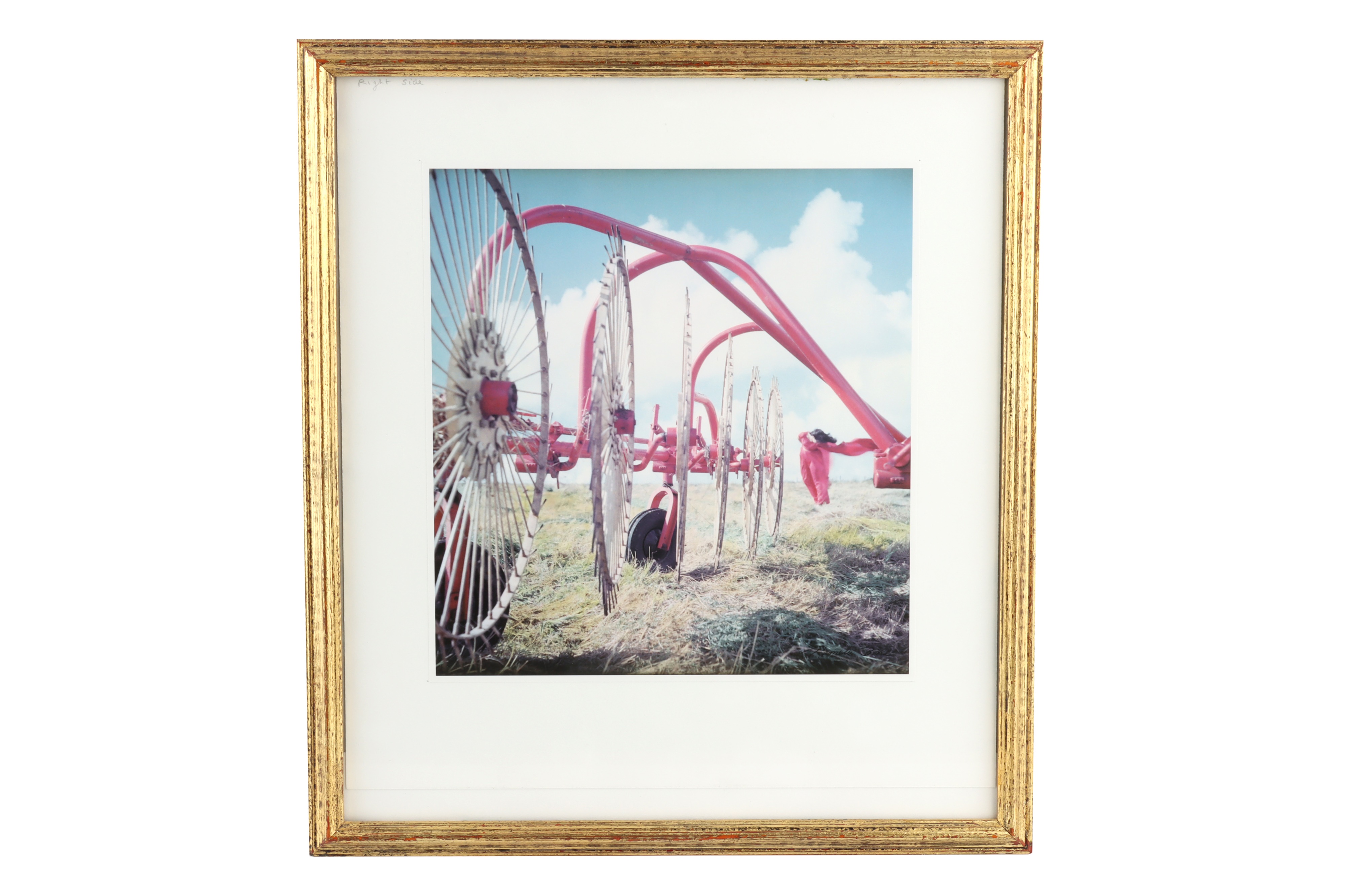 Lot 684 - PAMELA BONE (1925-2021), Five Framed