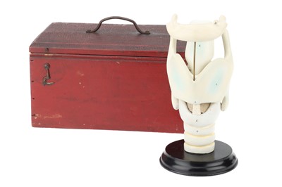 Lot 138 - MAISON AUZOUX (att) An Anatomical Model of the Human Larynx