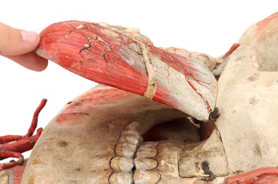 Lot 139 - DR LOUIS AUZOUX/MAISON AUZOUX, An Anatomical Model of the Human Head