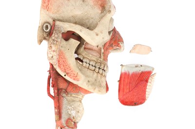 Lot 139 - DR LOUIS AUZOUX/MAISON AUZOUX, An Anatomical Model of the Human Head