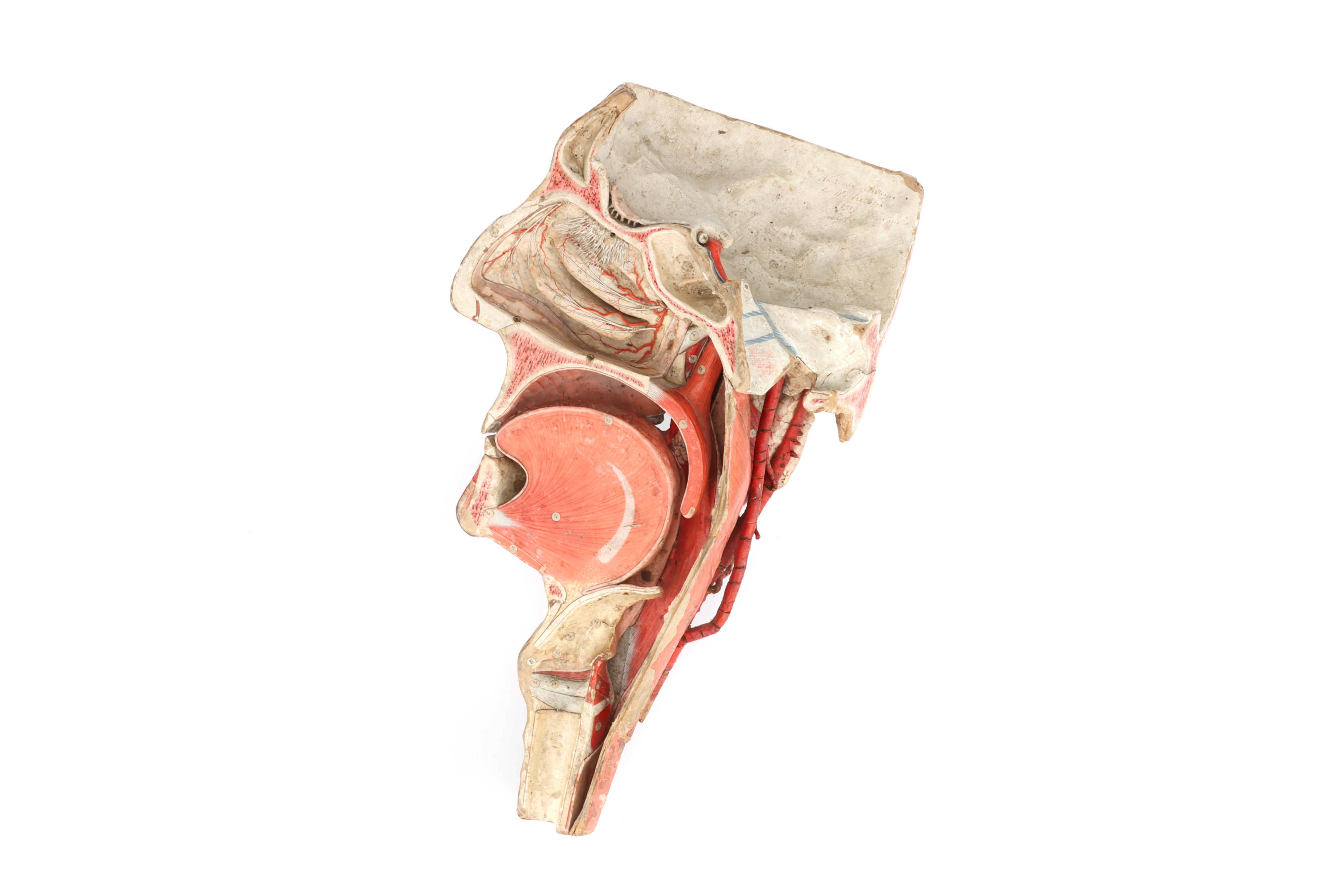 ［中古］Anatomie humain à l&#39;usage des artistes　管理番号：20240408-2 Anatomie humaine à l'usage des artistes