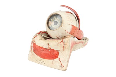 Lot 142 - MAISON AUZOUX, An Anatomical Model of the Human Eye