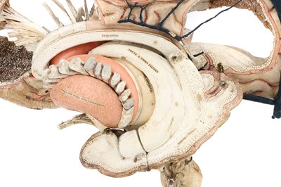 Lot 141 - DR LOUIS AUZOUX/ MAISON AUZOUX, An Anatomical Model of the Human Brain