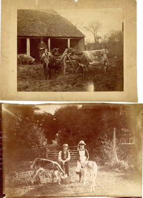 Lot 97 - A Group of Victorian Photographs of Rural Scenes