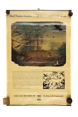 Lot 725 - Collection of Shell Oil Nature Study Posters