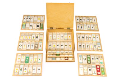 Lot 283 - A Good Collection of Microscope Diatom Slides