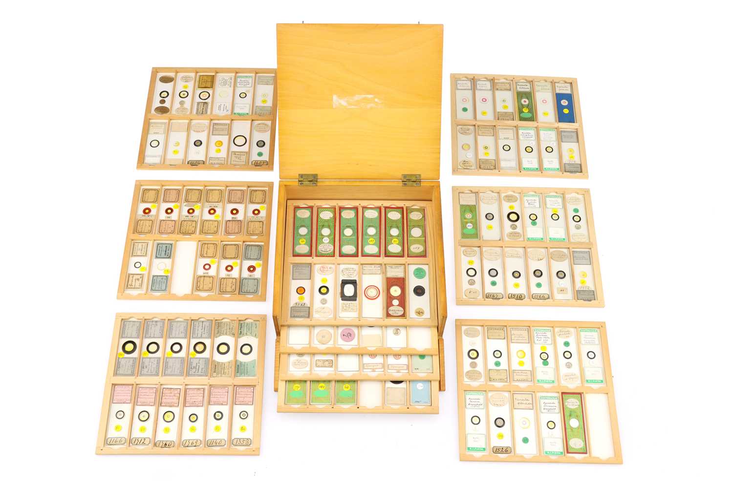 Lot 284 - A Good Selection of Diatom Microscope Slides